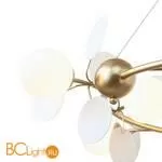 Люстра Favourite Bliss 2771-12P - Фото 2