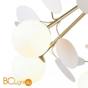 Люстра Favourite Bliss 2771-8P - Фото 2