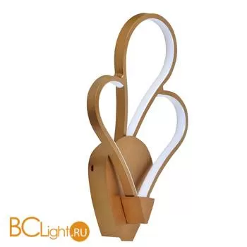 Настенный светильник Favourite Bluten 2548-1W