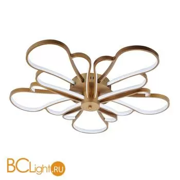 Потолочный светильник Favourite Bluten 2548-5U