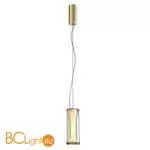 Подвесной светильник Favourite Bones 4244-1P