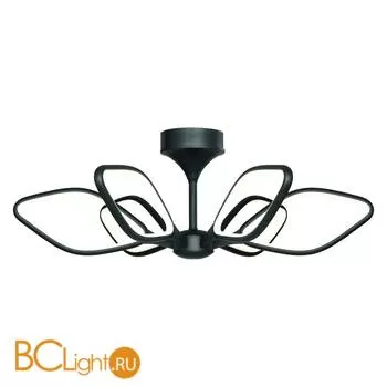 Потолочный светильник Favourite Borges 2563-6U