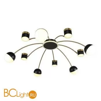 Люстра Favourite Canvas 3096-10P