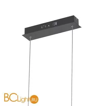 Подвесной светильник Favourite Carcass 2382-14P - Фото 0