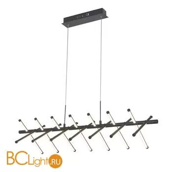 Подвесной светильник Favourite Carcass 2382-14P