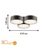 Потолочный светильник Favourite Cerchi 1514-6C - Схема