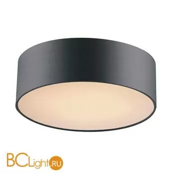 Потолочный светильник Favourite Cerchi 1514-2C