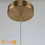 Подвесной светильник Favourite Chantra 4088-1P - Фото 1