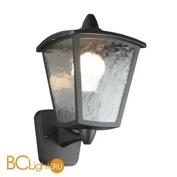 Уличный настенный светильник Favourite Colosso 1817-1W