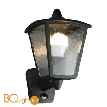 Уличный настенный светильник Favourite Colosso 1818-1W