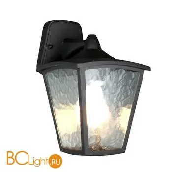 Уличный настенный светильник Favourite Colosso 1819-1W