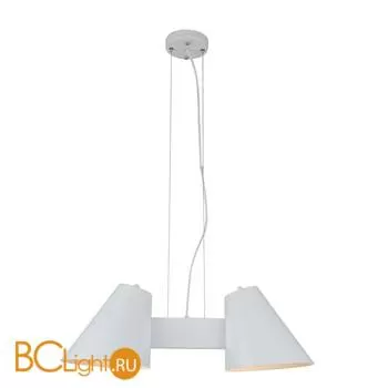 Люстра Favourite Conus 1853-2P - Фото 0