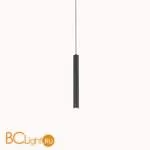 Подвесной светильник Favourite Cornetta 2121-1P