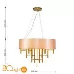 Подвесной светильник Favourite Cosmo 2993-6P - Фото 1