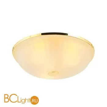 Потолочный светильник Favourite Costa 2752-3C