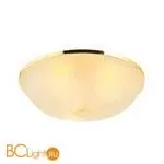 Потолочный светильник Favourite Costa 2752-3C