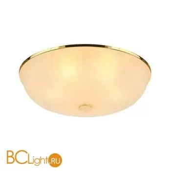 Потолочный светильник Favourite Costa 2752-5C