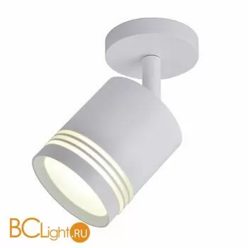 Спот Favourite Darar 3065-1U