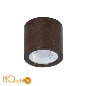 Спот Favourite Deorsum 2809-1C