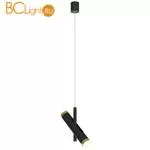 Подвесной светильник Favourite Duplex 2324-2P - Фото 0