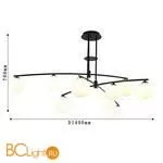 Люстра Favourite Equilibrium 4038-9P - Фото 1