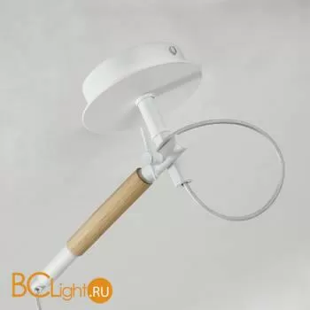 Настенно-потолочный светильник Favourite Eureka 3005-1P - Фото 5