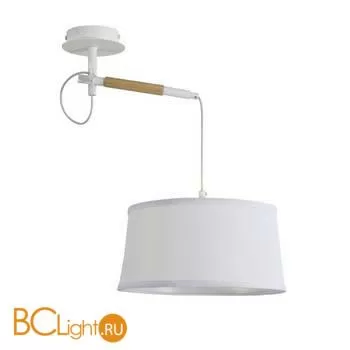 Настенно-потолочный светильник Favourite Eureka 3005-1P