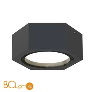Уличный потолочный светильник Favourite Fantum 4667-1U