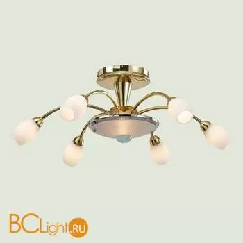 Потолочная люстра Favourite 1012-7U