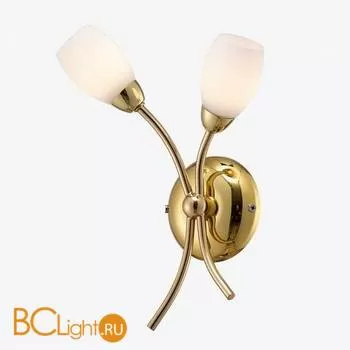 Бра Favourite 1012-2W