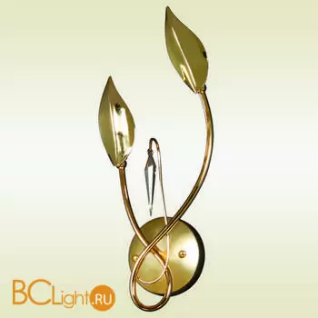 Бра Favourite 1326-2W