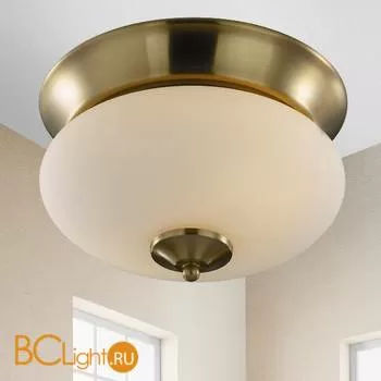 Потолочный светильник Favourite 2608-2C