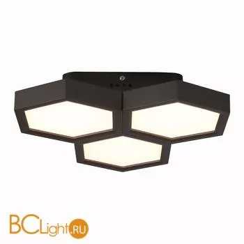 Настенный светильник Favourite Favum 2142-3C