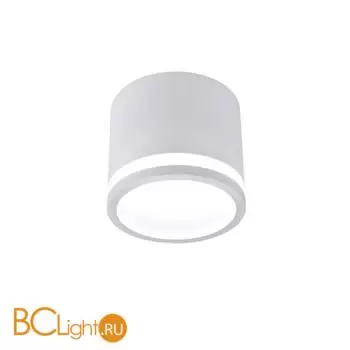 Потолочный светильник Favourite Festum 4213-1C