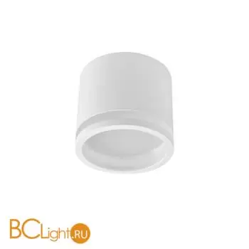 Потолочный светильник Favourite Festum 4213-1C - Фото 0