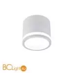 Потолочный светильник Favourite Festum 4213-1C