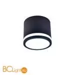 Потолочный светильник Favourite Festum 4212-1C