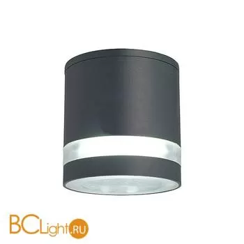 Уличный потолочный светильник Favourite Flicker 1830-1U