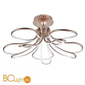 Потолочный светильник Favourite Flora 2547-10U