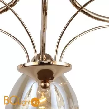 Потолочная люстра Favourite Galanta 2338-5U - Фото 1