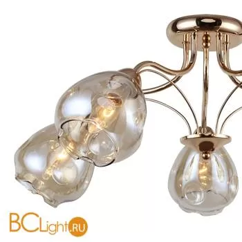 Потолочная люстра Favourite Galanta 2338-5U - Фото 4