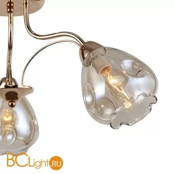 Потолочная люстра Favourite Galanta 2338-3U - Фото 3