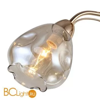 Потолочная люстра Favourite Galanta 2338-3U - Фото 2