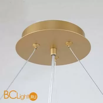 Подвесной светильник Favourite Ginkoa 4080-10P - Фото 1