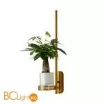 Бра Favourite Greenery 4050-1W - Фото 3