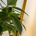 Бра Favourite Greenery 4050-1W - Фото 1