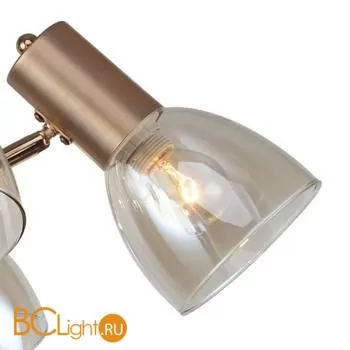 Люстра Favourite Grillus 2660-6U - Фото 5