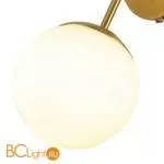 Бра Favourite Gutta 2854-1W - Фото 1