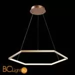 Подвесной светильник Favourite Hexagon 2103-6P - Фото 0