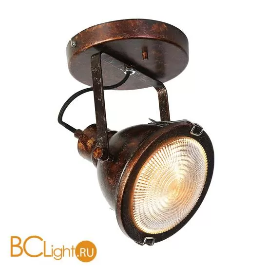 Спот (точечный светильник) Favourite Industrial 1898-1W